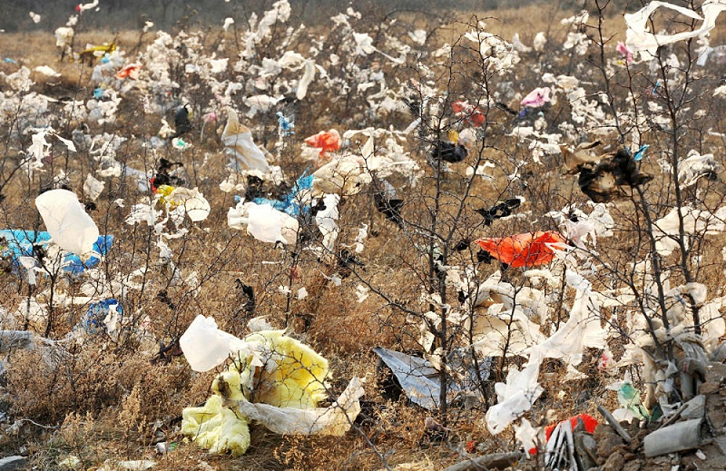 普通塑料袋导致的环境污染
